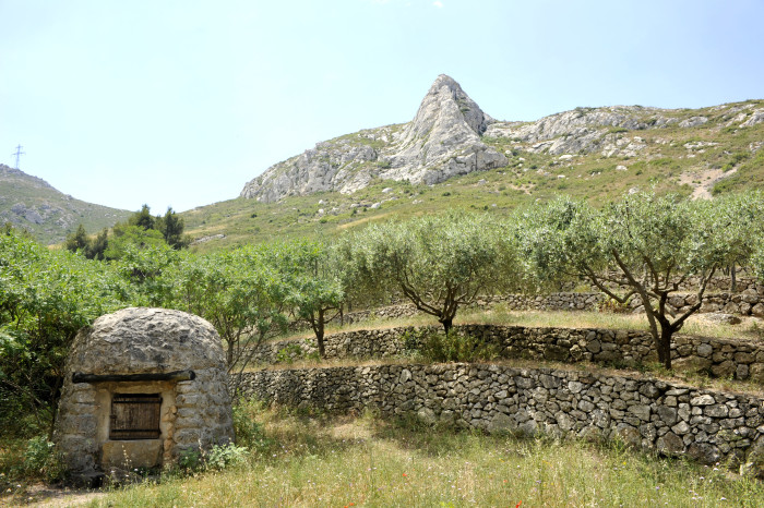 Parc des Bruy&egrave;res et le Vallon de l'Ev&ecirc;que, Marseille