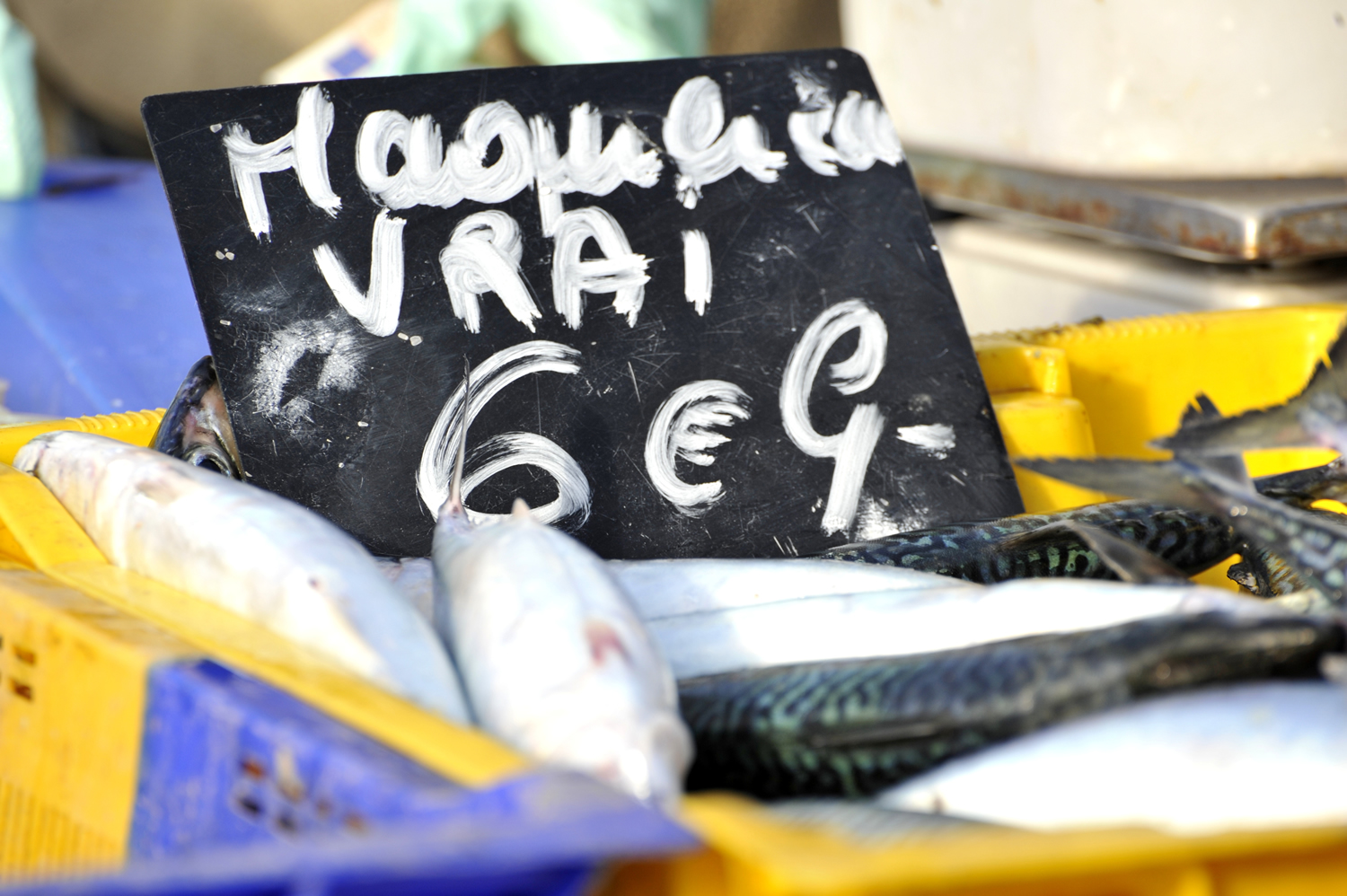 Marché aux Poissons du Vieux-Port, Nana et L’œil de Sainte Lucie