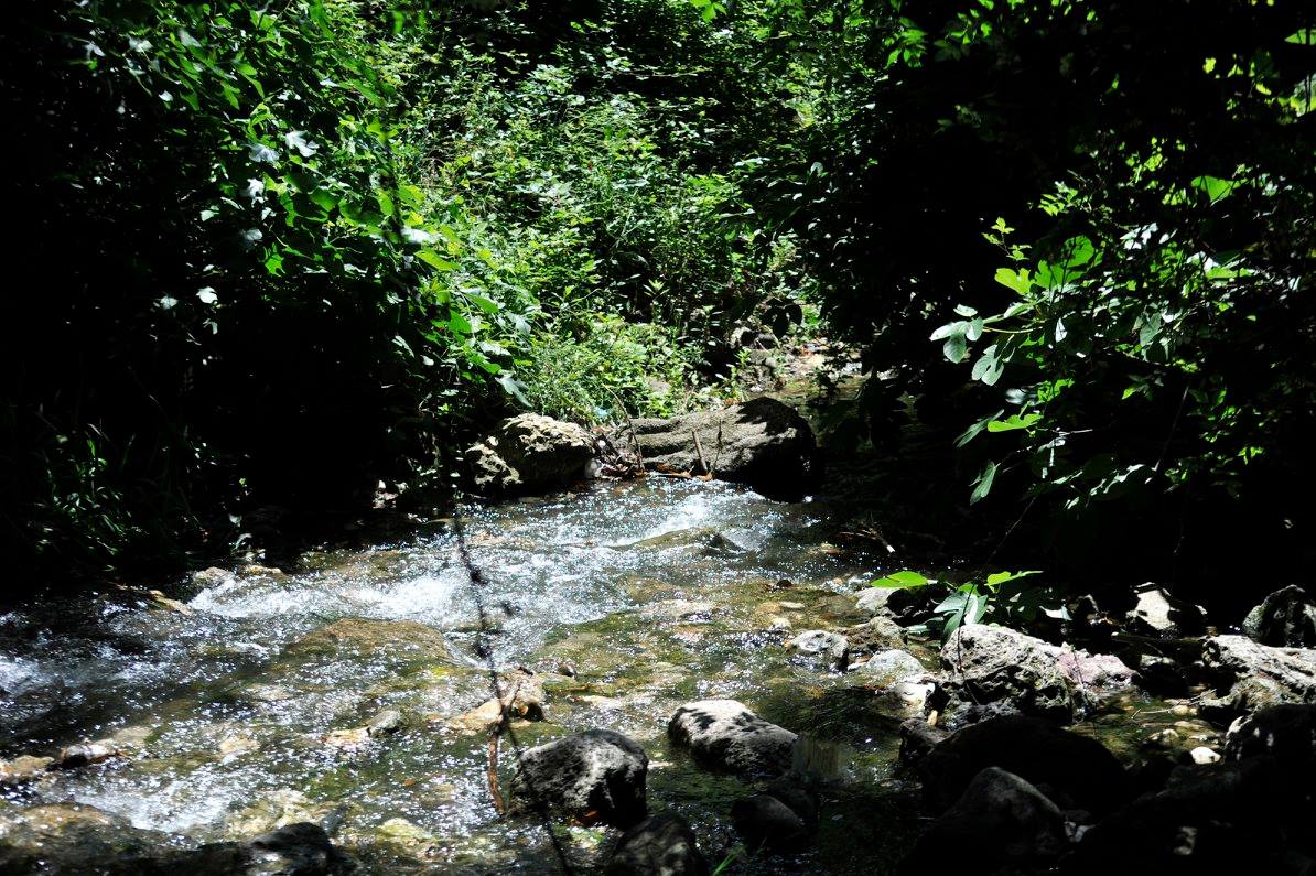 Ruisseau des Aygalades, de La Caravelle, 17.1 km
