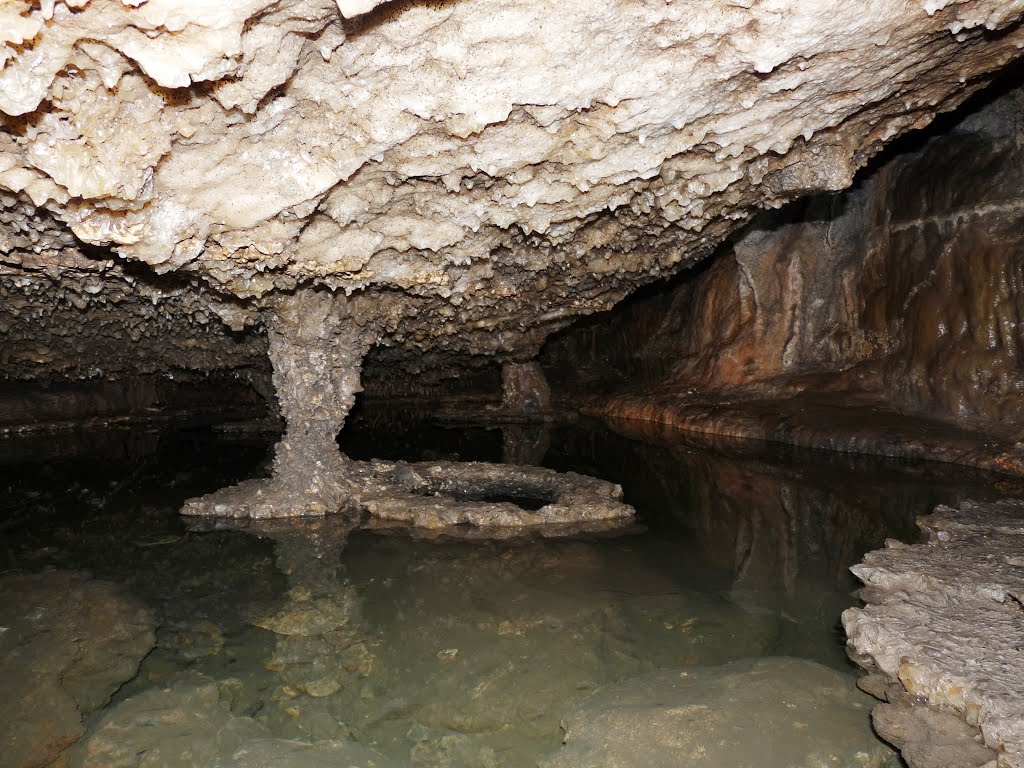 La Grotte de l’Ours, Grotte du Revest