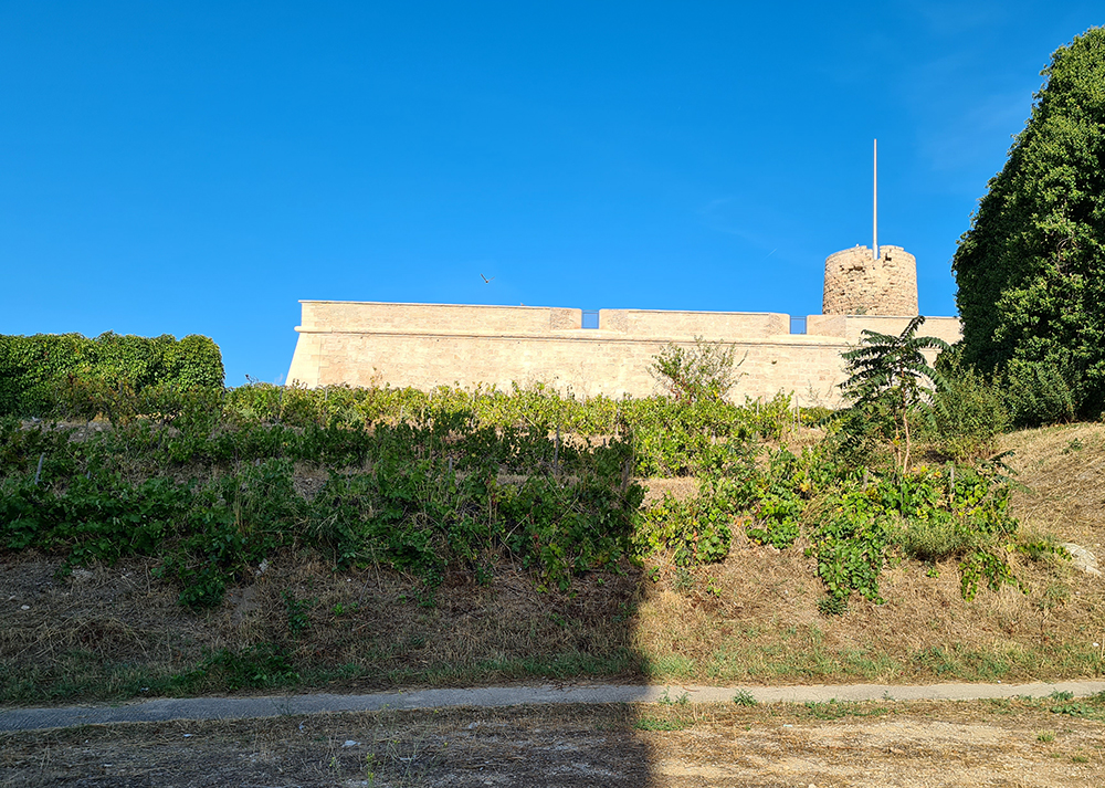 Les Côteaux de Saint-Victor & Vignes of Marseille 2013