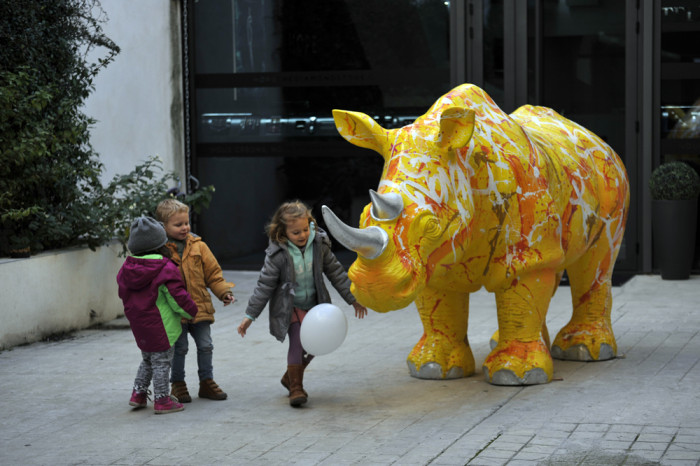 rhinoceros-galerie-pluskwa-2