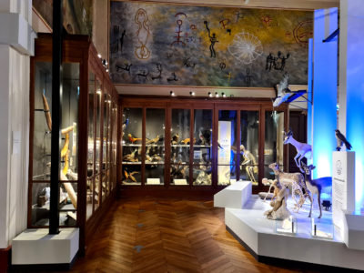 Muséum d’histoire Naturelle (MHNM) Palais Longchamp