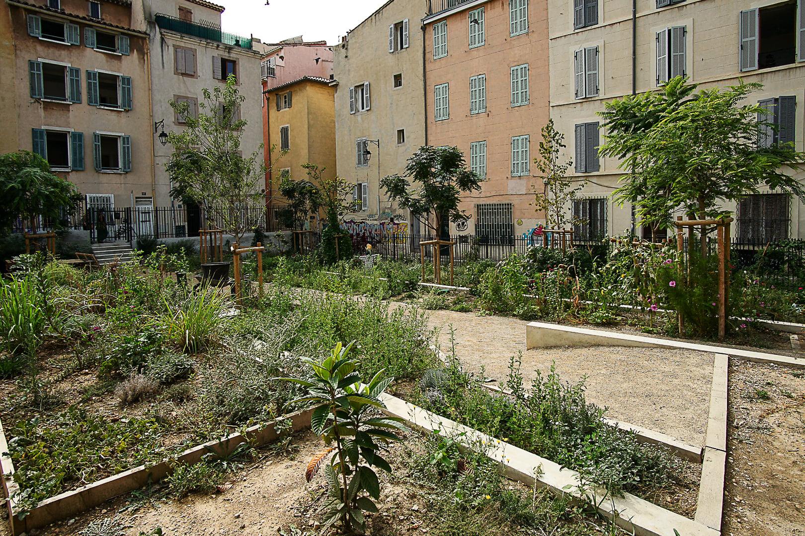 Jardin Partagé de la Place du Refuge, 2019