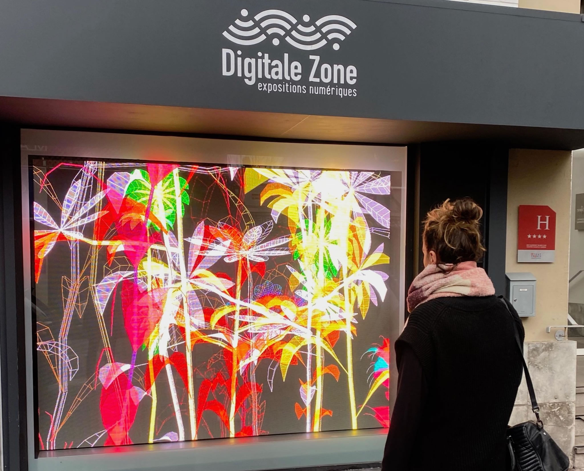 Digitale zone, depuis 2020, expositions numériques 24h/24