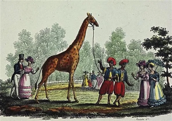 La fuite dans les calanques de Zarafa, la Girafe du Roi, 1826