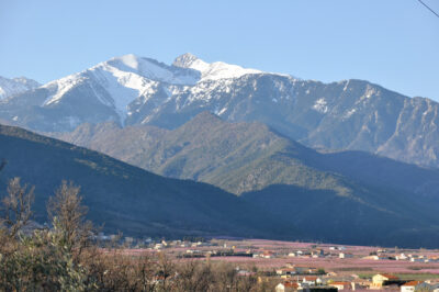 Vue sur le Canigou depuis les environs de Vinça