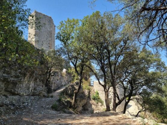 Sandales Plateforme Marco De Vincenzo Avec Cristaux - Taille 40, Neuves Avec Boîte