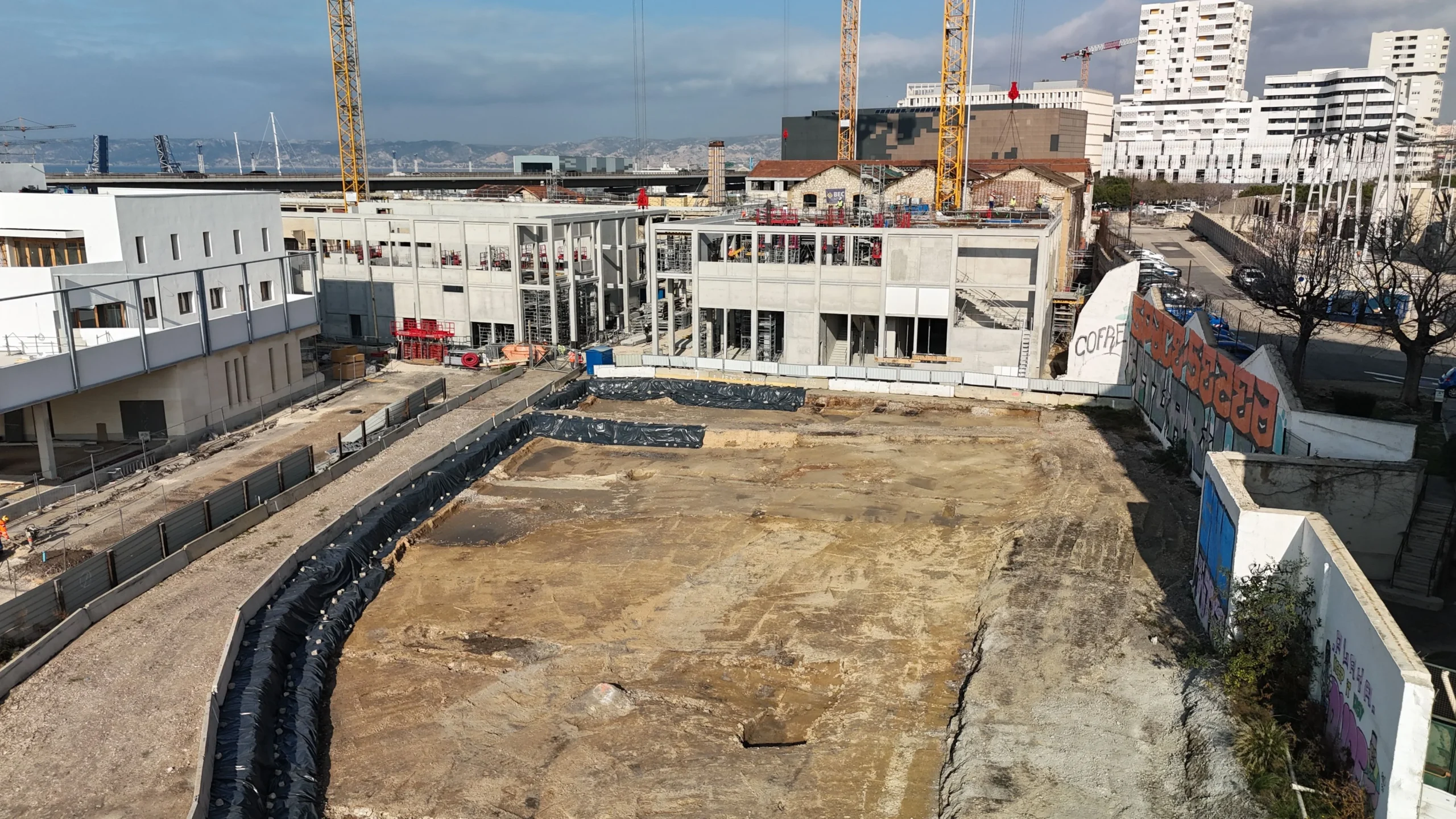 Vignoble grec du Ve siècle avant notre ère