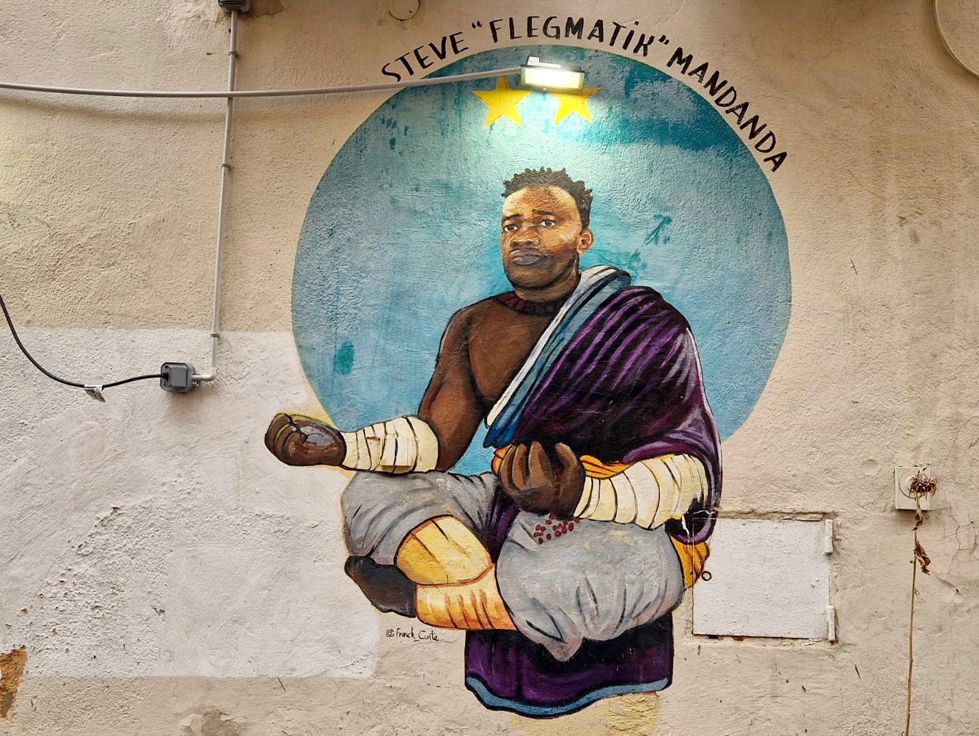 Steve “Flegmatik” Mandanda, par Franck Conte, 2019