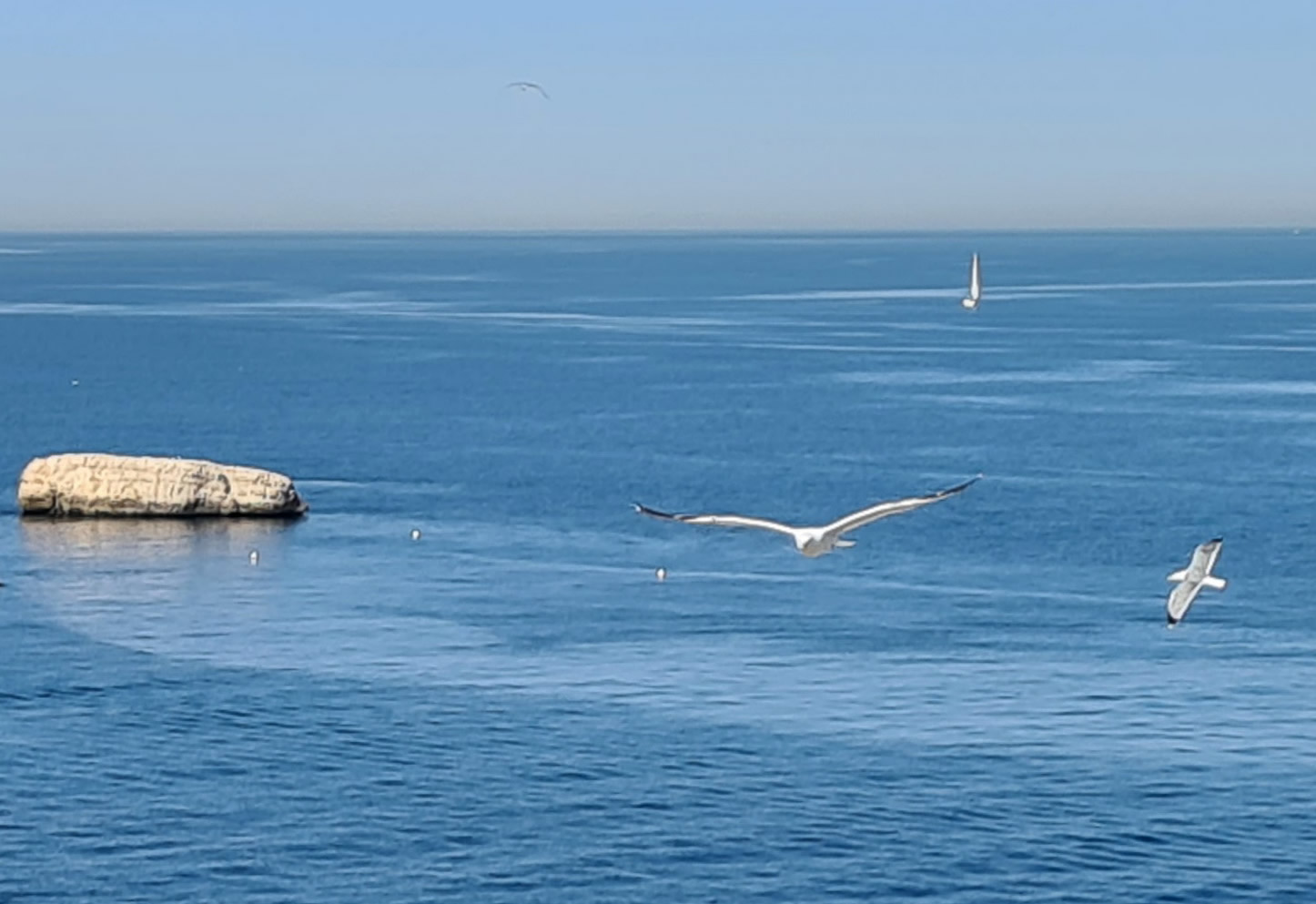 Île Bermond, la micronation au large du Frioul